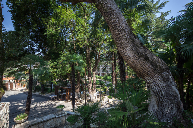 view from the stairs above